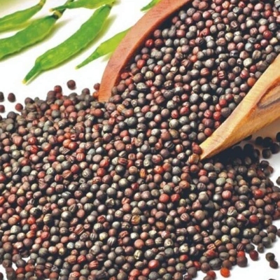 Mustard Seeds - Admixture (%): 1% Max