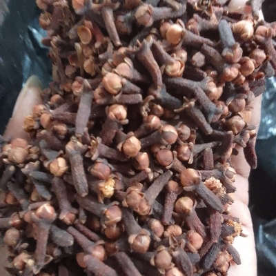 Cloves