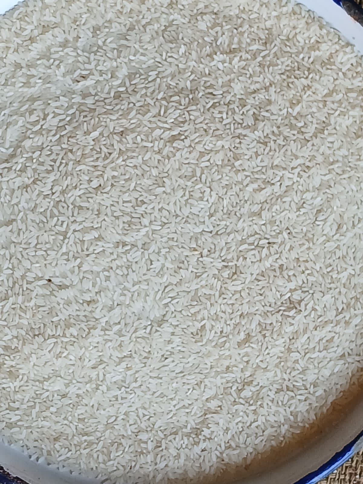 Bpt Rice - Broken (%): 5