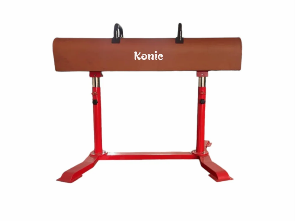 Gymnastics Pommel Horse