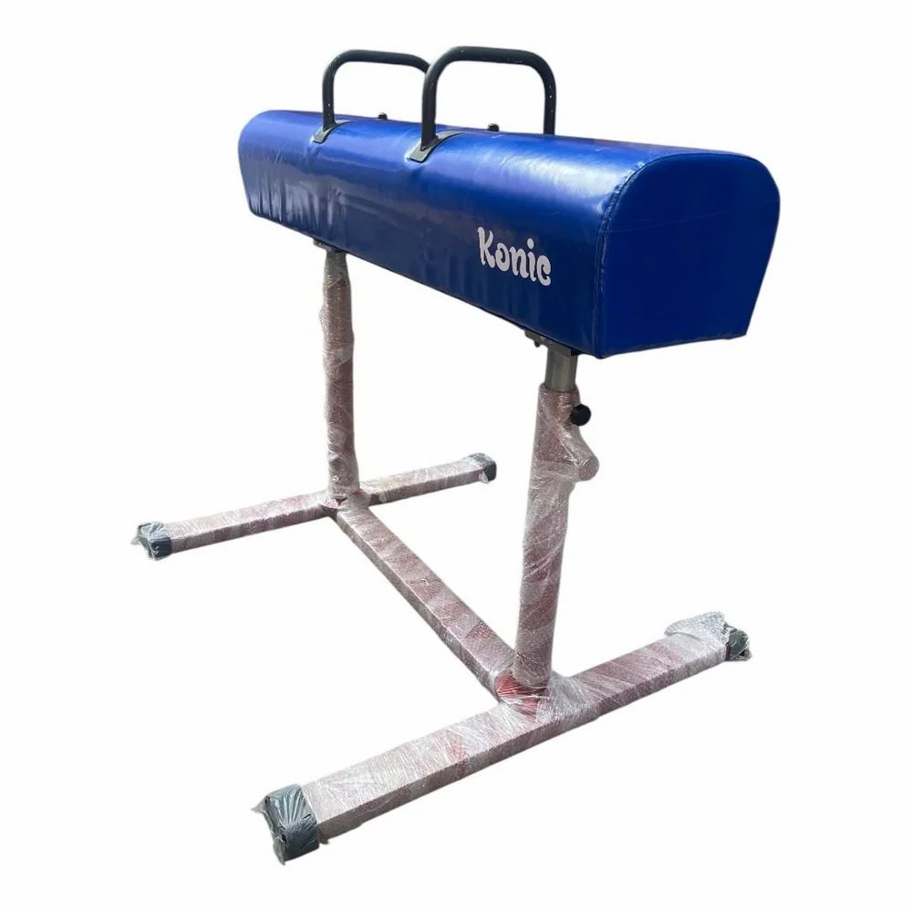 Gymnastics Pommel Horse