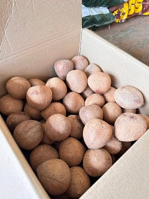 Coconuts Copra
