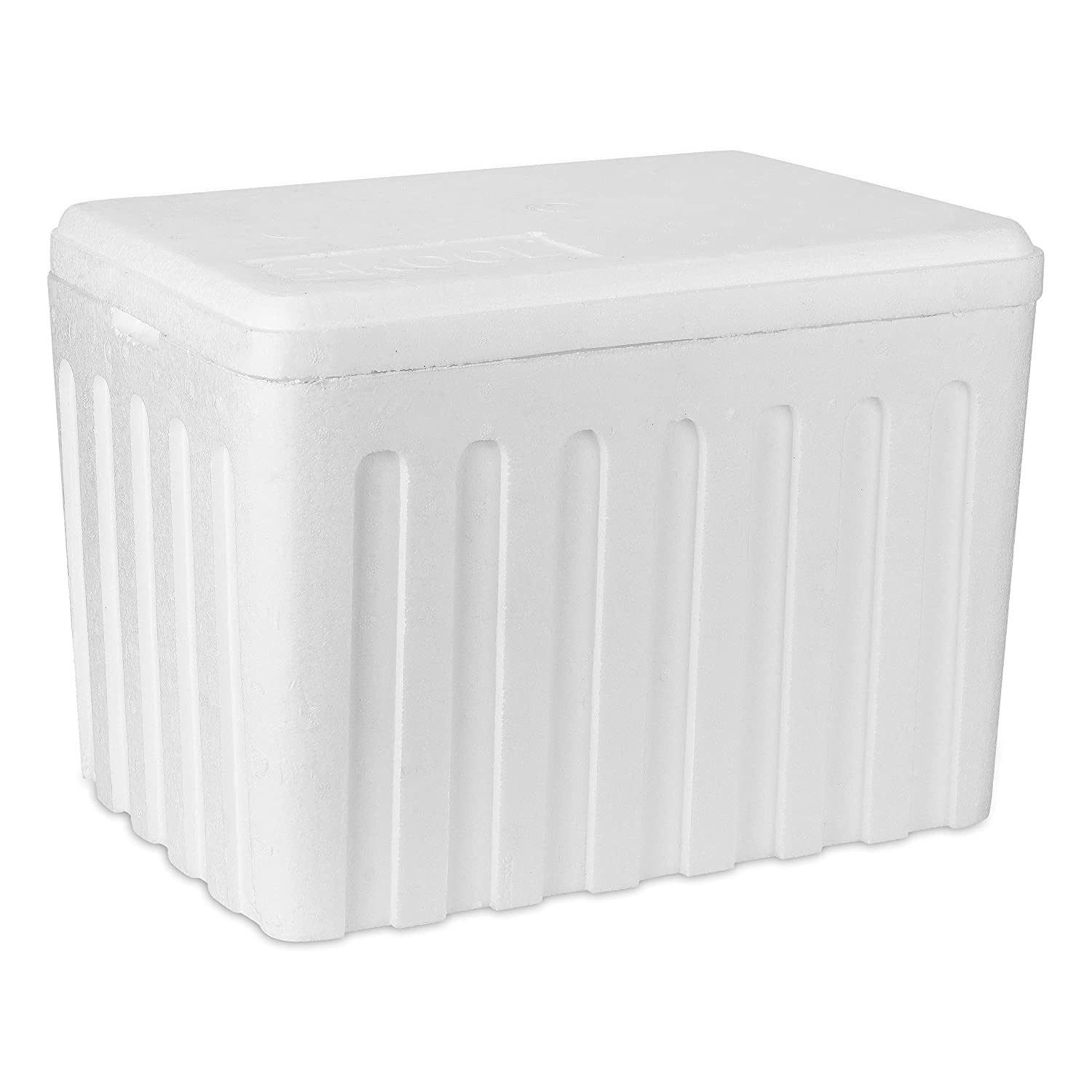 20 Liters Thermocol Ice Boxes