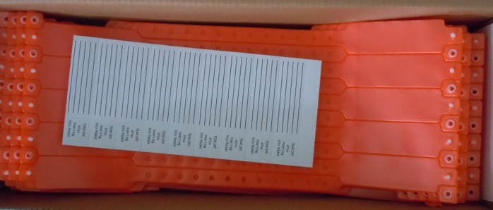 ADULT INSERT CARD PATIENT ID BANDS