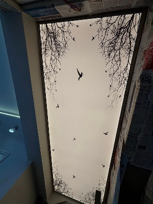 3d Stretch Ceiling