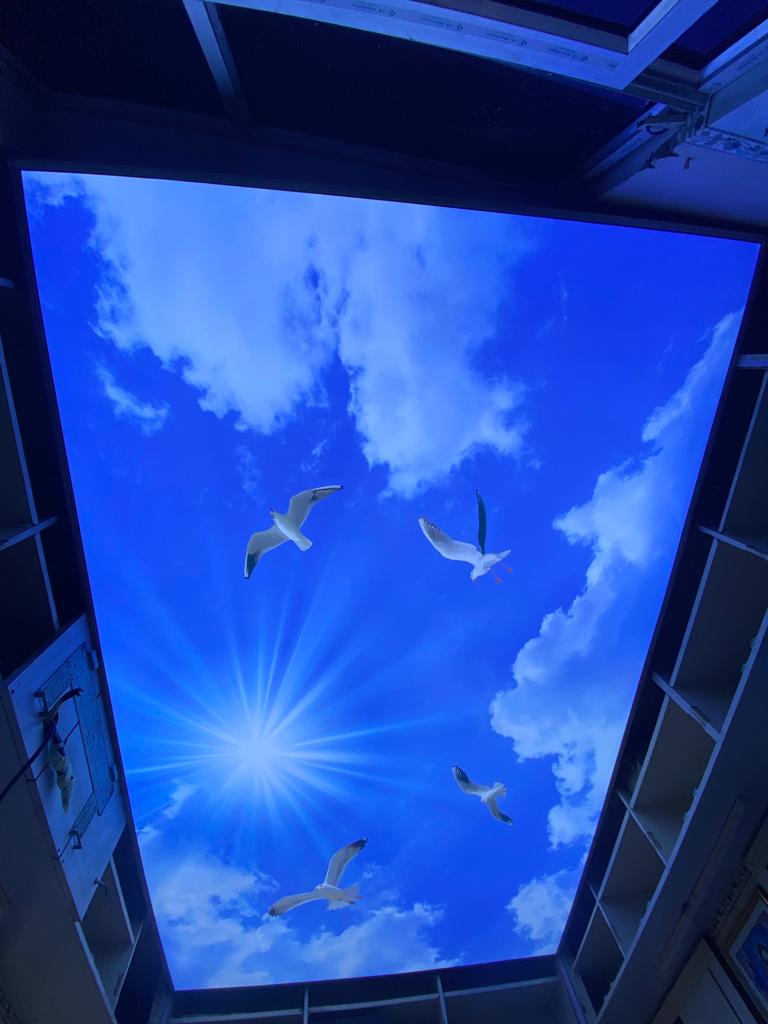 Waterproof Designs Stretch Ceiling - Flexible Waterproof Material, Fire Resistant, UV Resistant | Acoustic Insulation, Easy Installation, Smooth Finish