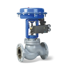Globe Control Valve