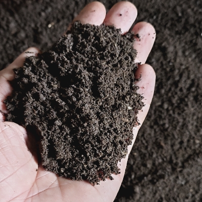 Vermicompost loose