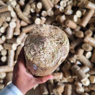 Biomass Briquettes
