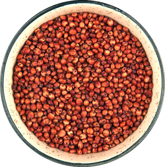 Red Sorghum