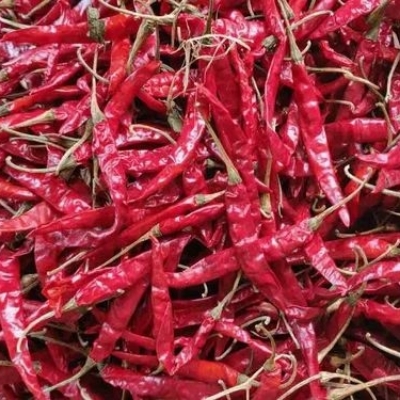 Dry Red Chilli With Steam