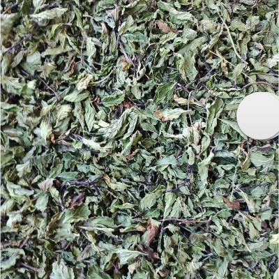 Dried Mint Leaf