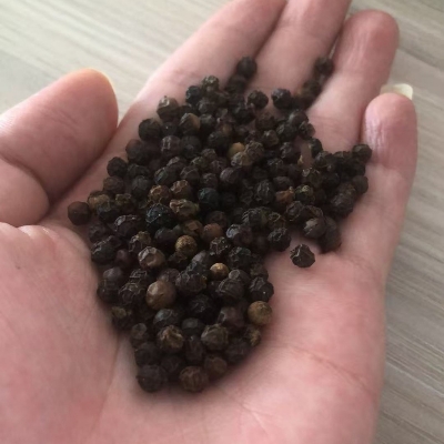 Black Pepper
