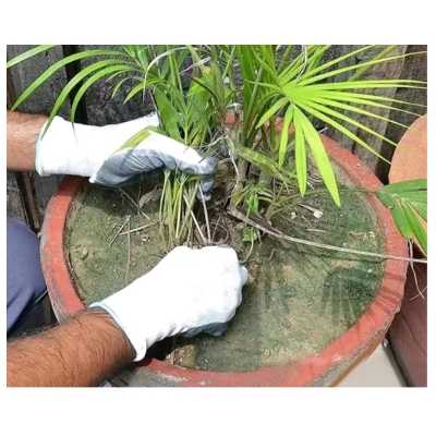 Garden Nitrile Hand Gloves