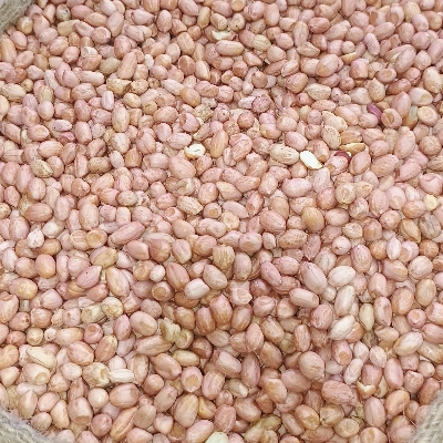 Groundnuts Kernel