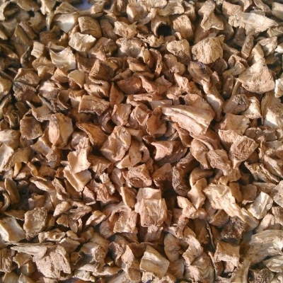 Natural Chicory Roots