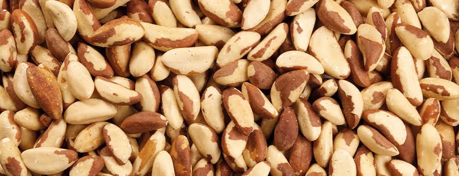 Brazil Nut