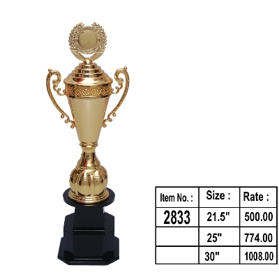 Sports Trophy Cup