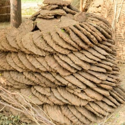 Cow Dung By Ir Enterprises