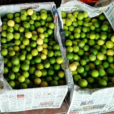 Fresh Lemons