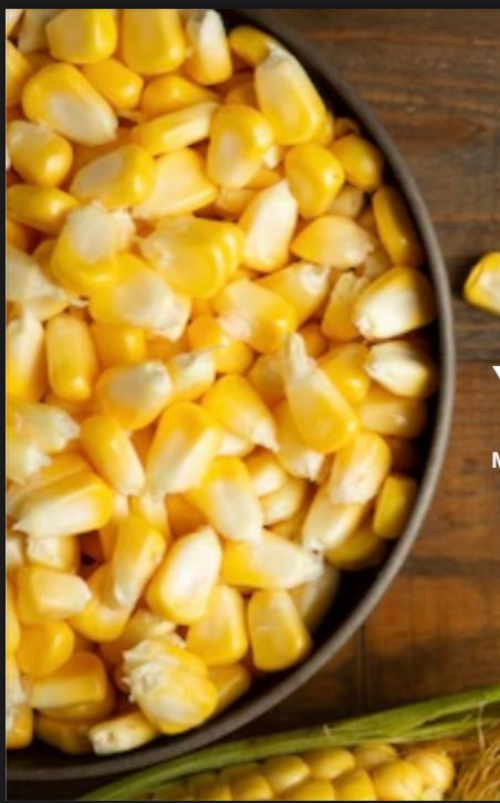 Maize Grain - Color: Yellow