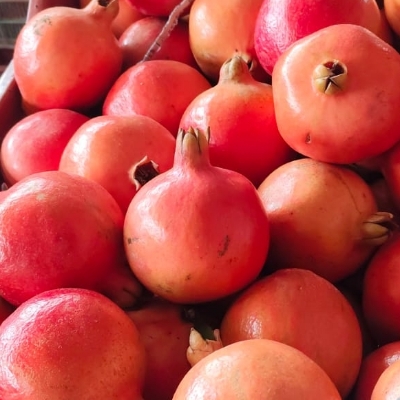 A Grade Pomegranate