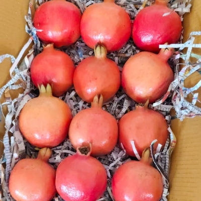 Pomegranate Fruit