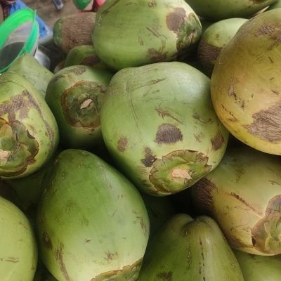 Tender Coconut