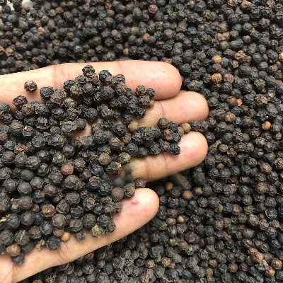 Black Pepper