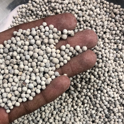 White Pepper