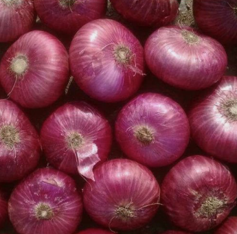 Red Onion