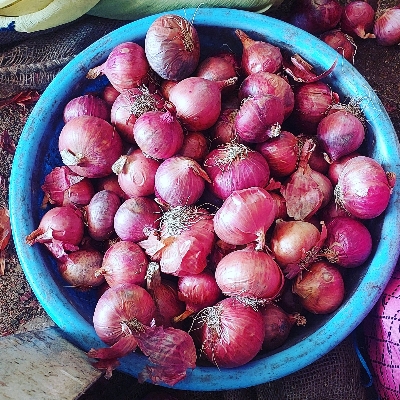 Fresh Onion