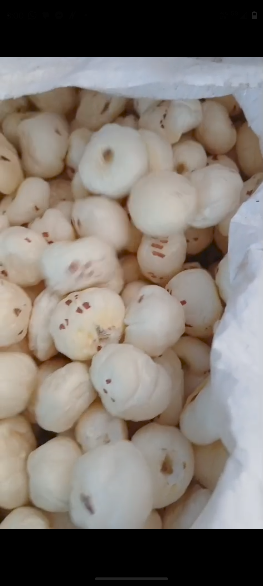 Fox Nuts