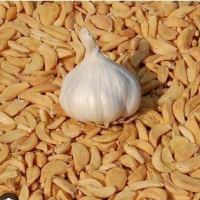 Dry Garlic Flakes
