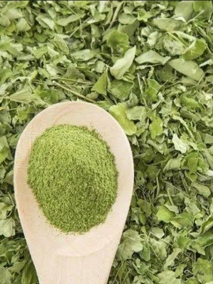 Moringa Dry Leaf - Advantage: Vitamin Rich Benefits