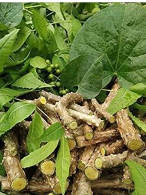 Tinospora Cordifolia