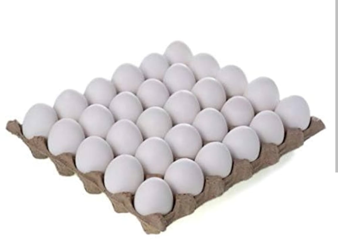 Chicken Fresh Eggs
