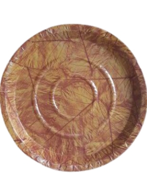 13 Inch Disposable Thali 100 Gsm Quality