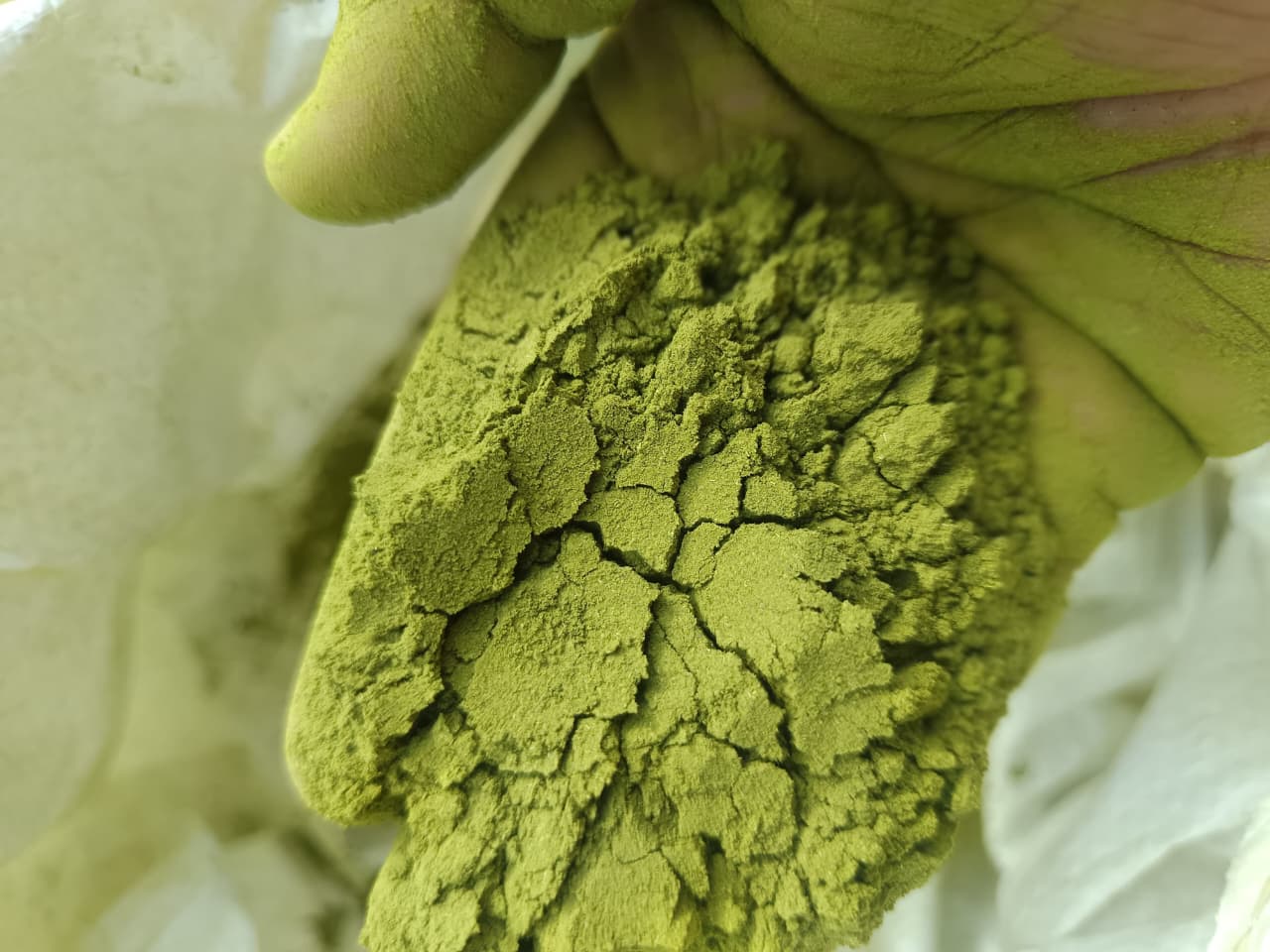 Organic Moringa, Banana Powder