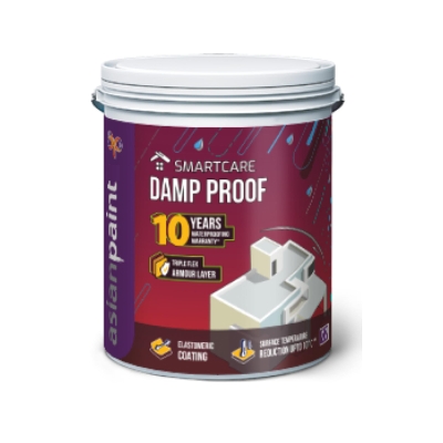 Damp Proof Asian Paints