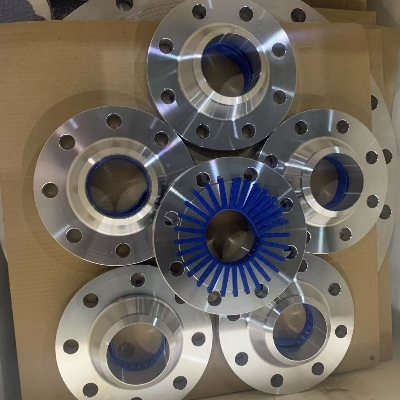 2205 Duplex Steel Flanges