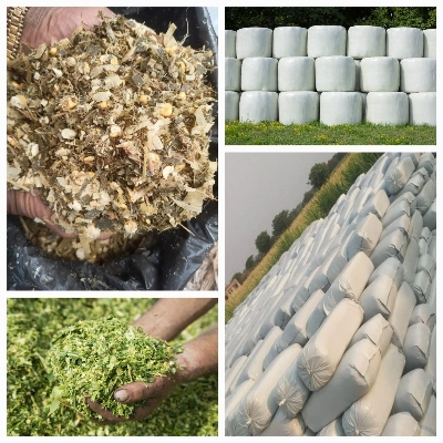 Animal Feed Corn Silage