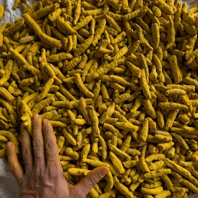 Fresh Turmeric
