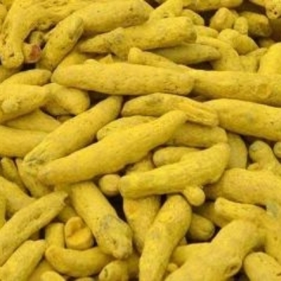 Turmeric Finger