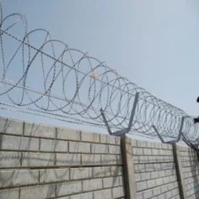 Concertina Wire