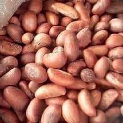 Bitter Kola Nuts