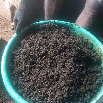 Natural Decompostion Vermicompost - Brown Powder Organic Fertilizer | Humus Content Moisture Retaining Sustainable Farming