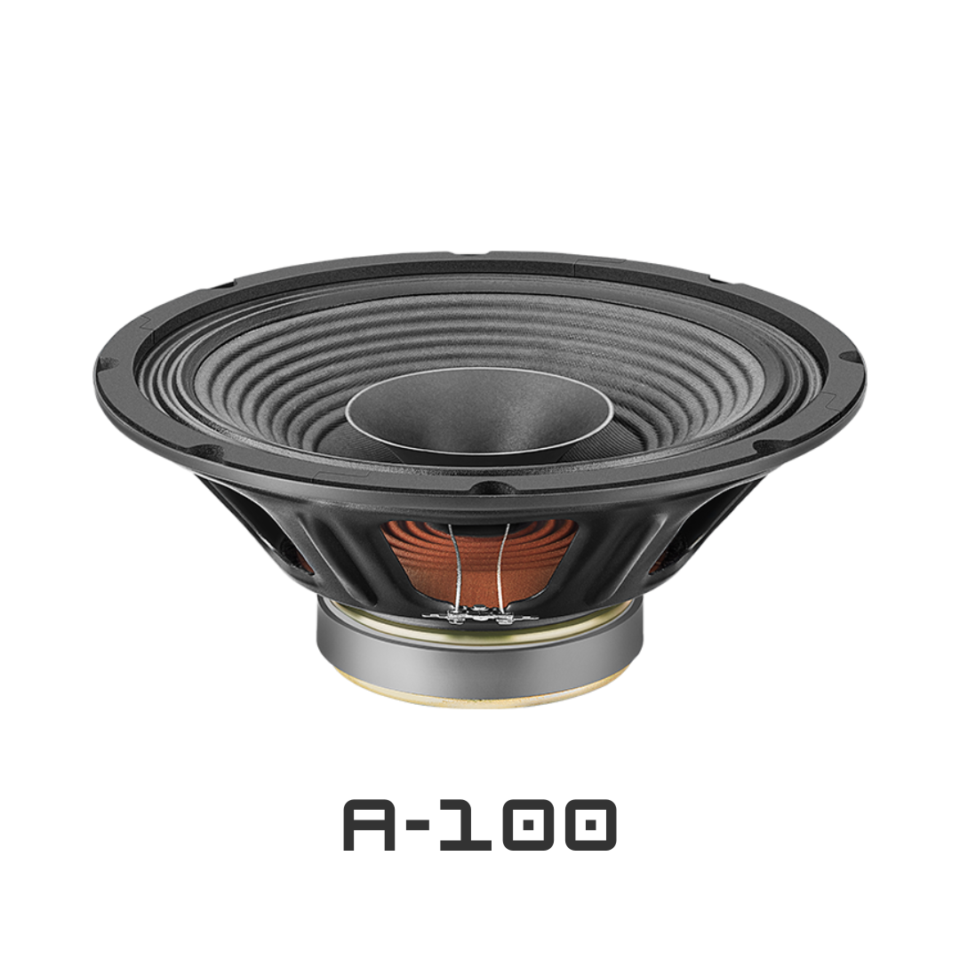 12 Inch Dual Cone Speaker A-100 - Color: Black