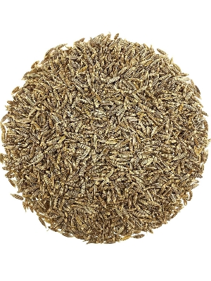 Cumin Seeds