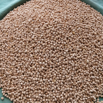 Kabuli Chana